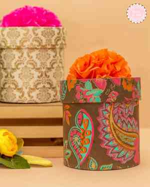 Boxes 169 Degree Gallery