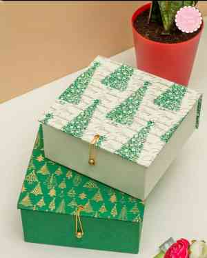 Boxes 169 Degree Gallery