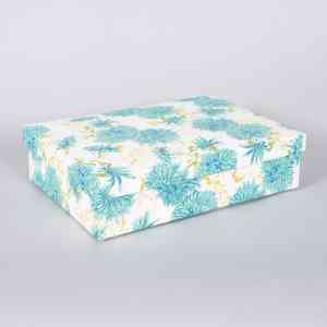 Boxes 169 Degree Gallery