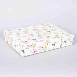 Boxes 169 Degree Gallery